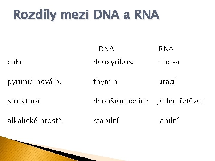 Rozdíly mezi DNA a RNA DNA RNA cukr deoxyribosa pyrimidinová b. thymin uracil struktura