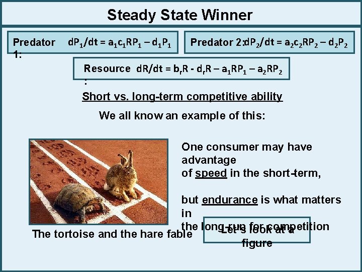 Steady State Winner Predator 1: d. P 1/dt = a 1 c 1 RP