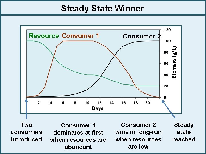 Steady State Winner Consumer 2 Biomass (g/L) Resource Consumer 1 Two consumers introduced Consumer