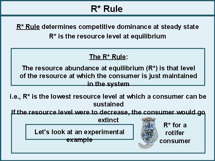 R* Rule determines competitive dominance at steady state R* is the resource level at