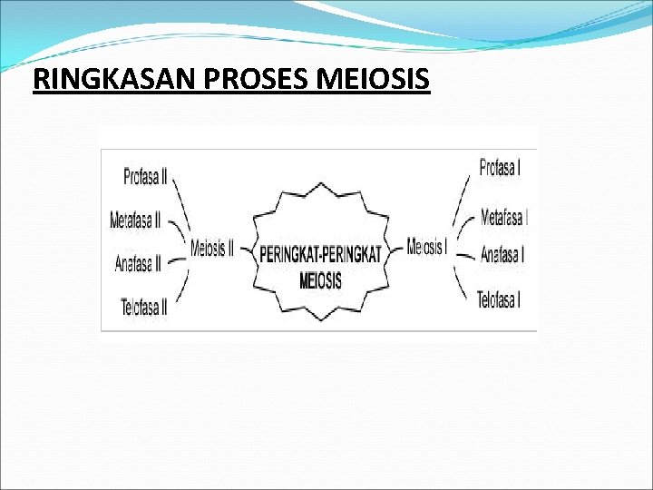 RINGKASAN PROSES MEIOSIS 