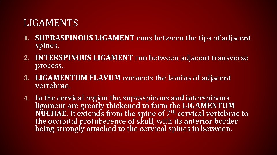 LIGAMENTS 1. SUPRASPINOUS LIGAMENT runs between the tips of adjacent spines. 2. INTERSPINOUS LIGAMENT