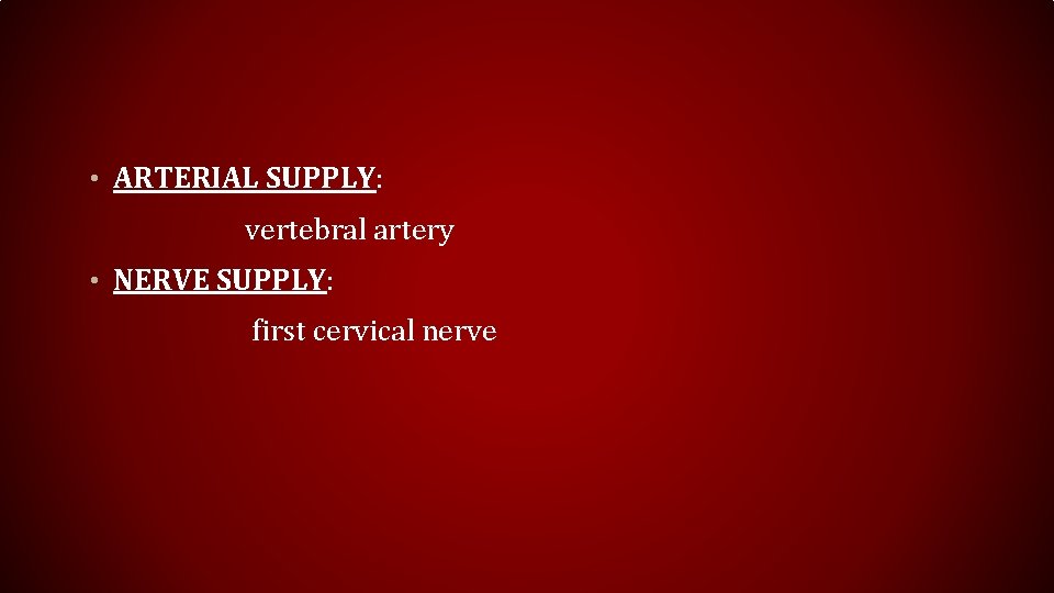  • ARTERIAL SUPPLY: vertebral artery • NERVE SUPPLY: first cervical nerve 