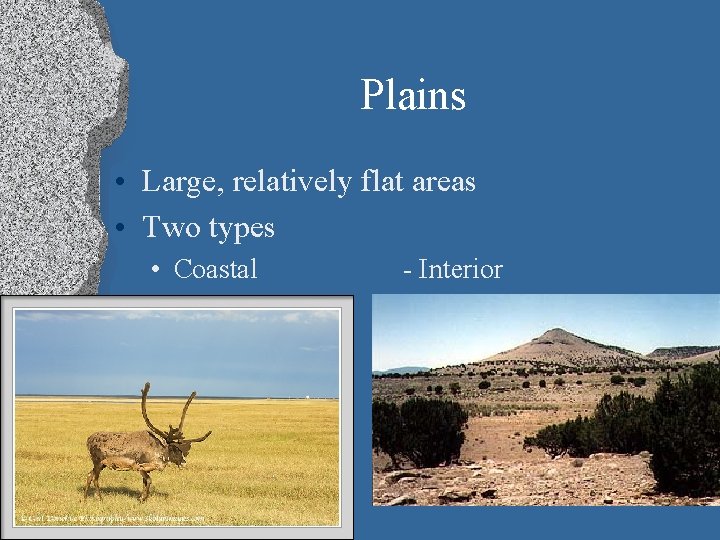 Plains • Large, relatively flat areas • Two types • Coastal (lowlands) - Interior