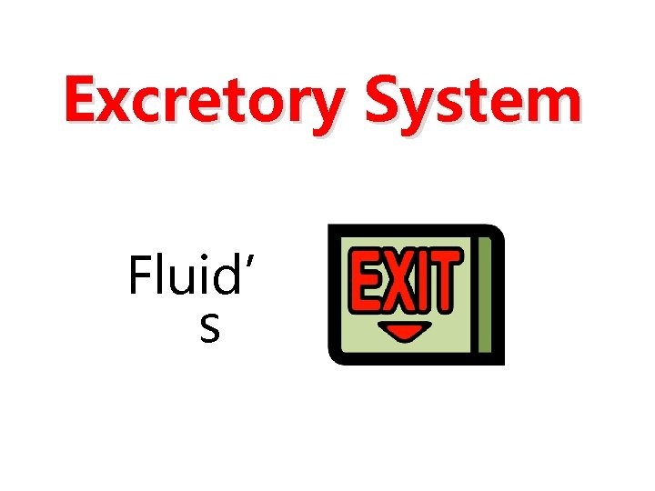 Excretory System Fluid’ s 