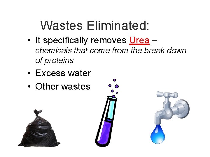 Wastes Eliminated: • It specifically removes Urea – chemicals that come from the break