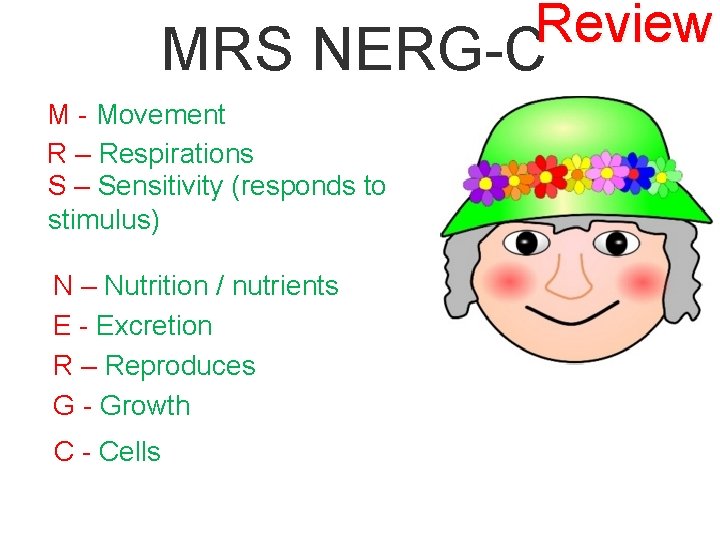 Review MRS NERG-C M - Movement R – Respirations S – Sensitivity (responds to