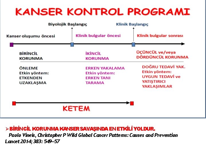  BİRİNCİL KORUNMA KANSER SAVAŞINDA EN ETKİLİ YOLDUR. Paolo Vineis, Christopher P Wild Global