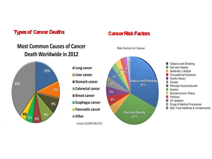 Types of Cancer Deaths Cancer Risk Factors 