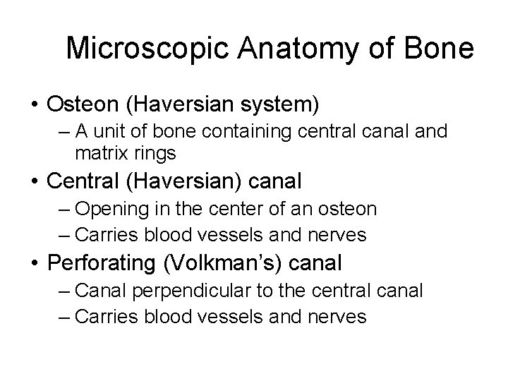 Microscopic Anatomy of Bone • Osteon (Haversian system) – A unit of bone containing Microscopic Anatomy of Bone • Osteon (Haversian system) – A unit of bone containing