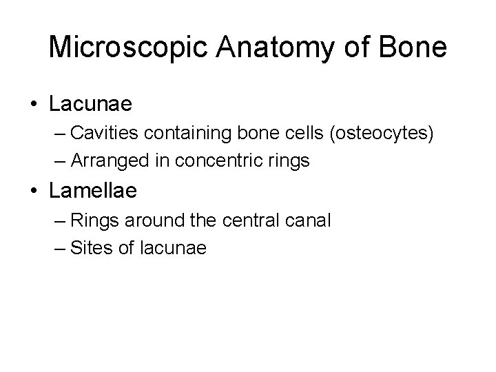 Microscopic Anatomy of Bone • Lacunae – Cavities containing bone cells (osteocytes) – Arranged Microscopic Anatomy of Bone • Lacunae – Cavities containing bone cells (osteocytes) – Arranged