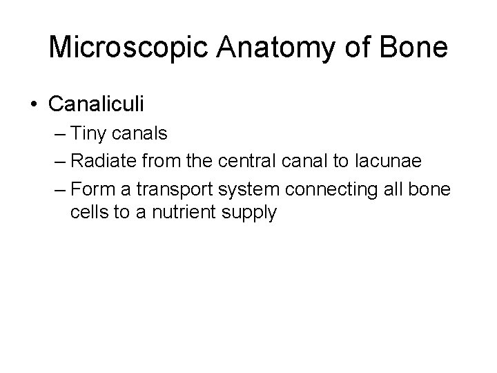 Microscopic Anatomy of Bone • Canaliculi – Tiny canals – Radiate from the central Microscopic Anatomy of Bone • Canaliculi – Tiny canals – Radiate from the central