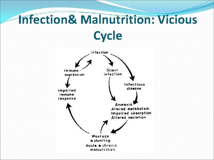 Infection& Malnutrition: Vicious Cycle 