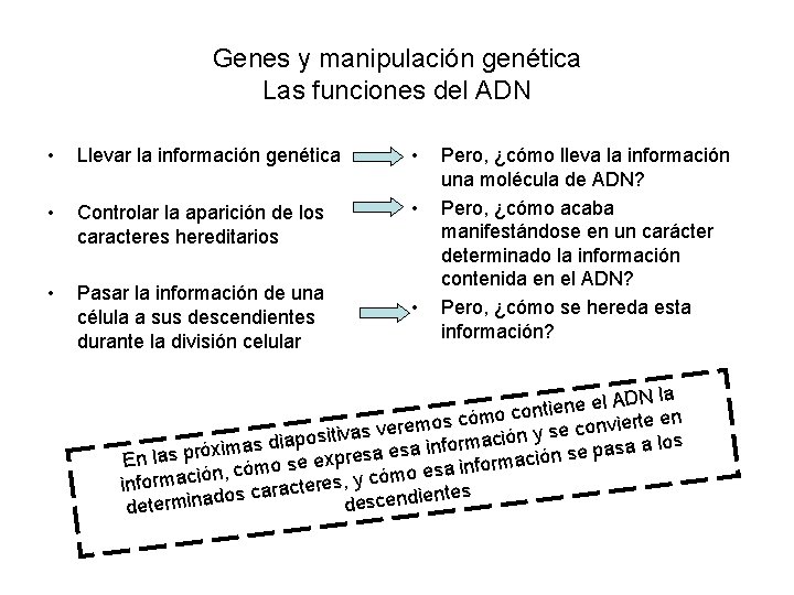 Genes y manipulación genética Las funciones del ADN • Llevar la información genética •