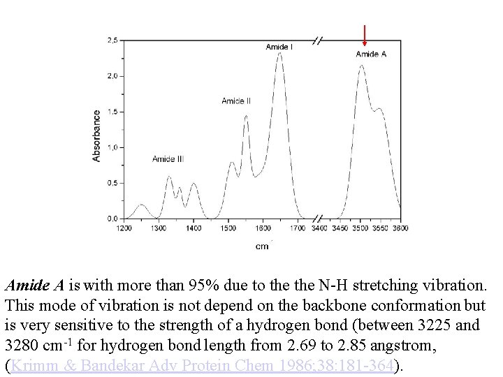 Amide A is with more than 95% due to the N-H stretching vibration. This