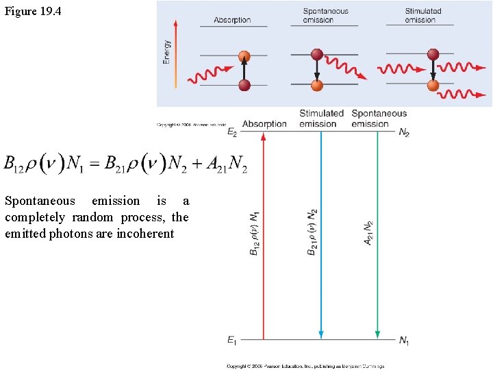 Figure 19. 4 Spontaneous emission is a completely random process, the emitted photons are