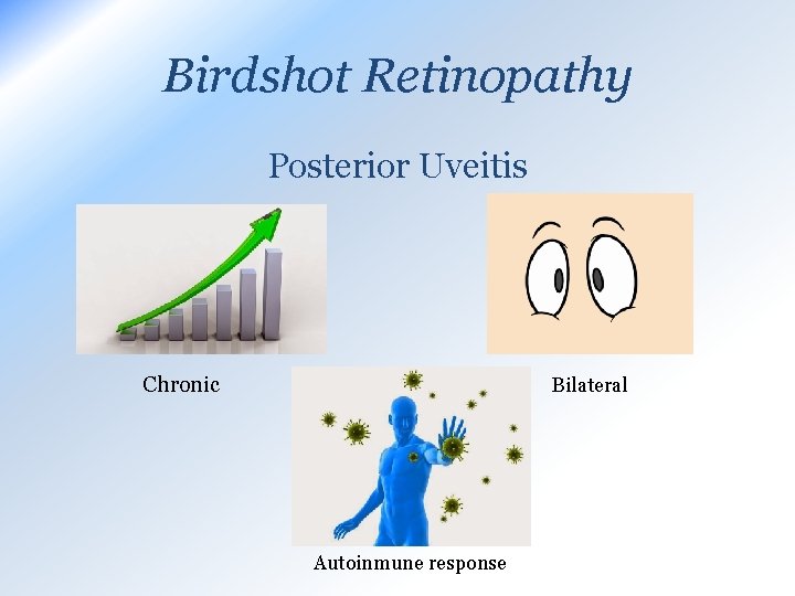 Birdshot Retinopathy Posterior Uveitis Chronic Bilateral Autoinmune response 