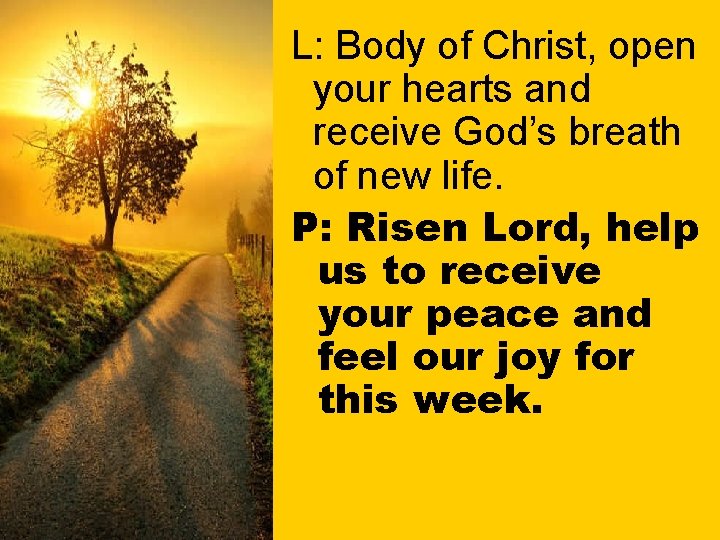L: Body of Christ, open your hearts and receive God’s breath of new life.