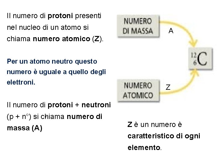 Il numero di protoni presenti nel nucleo di un atomo si A chiama numero