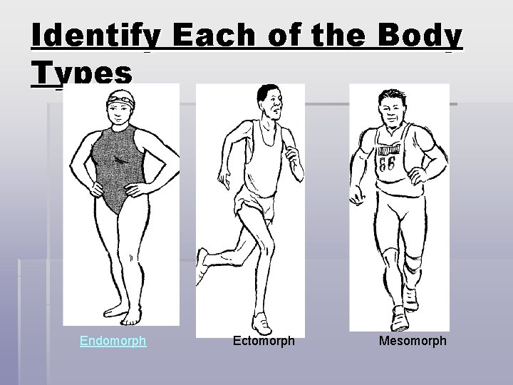 Identify Each of the Body Types Endomorph Ectomorph Mesomorph 