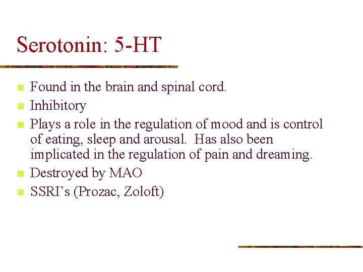 Serotonin: 5 -HT n n n Found in the brain and spinal cord. Inhibitory