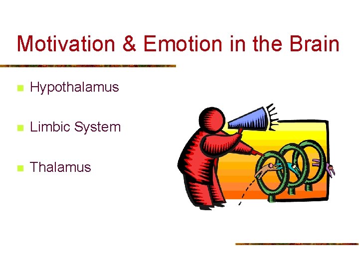 Motivation & Emotion in the Brain n Hypothalamus n Limbic System n Thalamus 