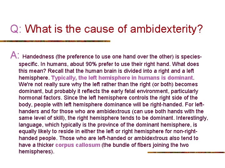Q: What is the cause of ambidexterity? A: Handedness (the preference to use one