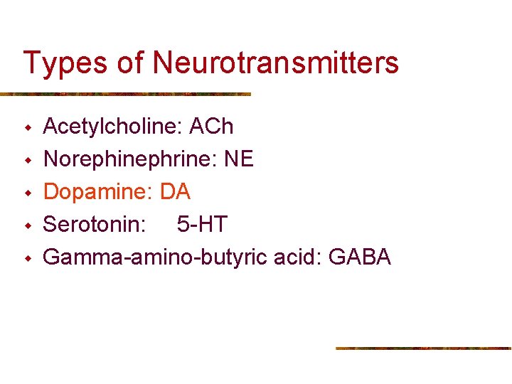 Types of Neurotransmitters w w w Acetylcholine: ACh Norephinephrine: NE Dopamine: DA Serotonin: 5
