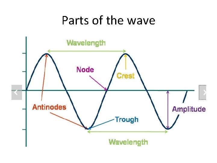 Parts of the wave 