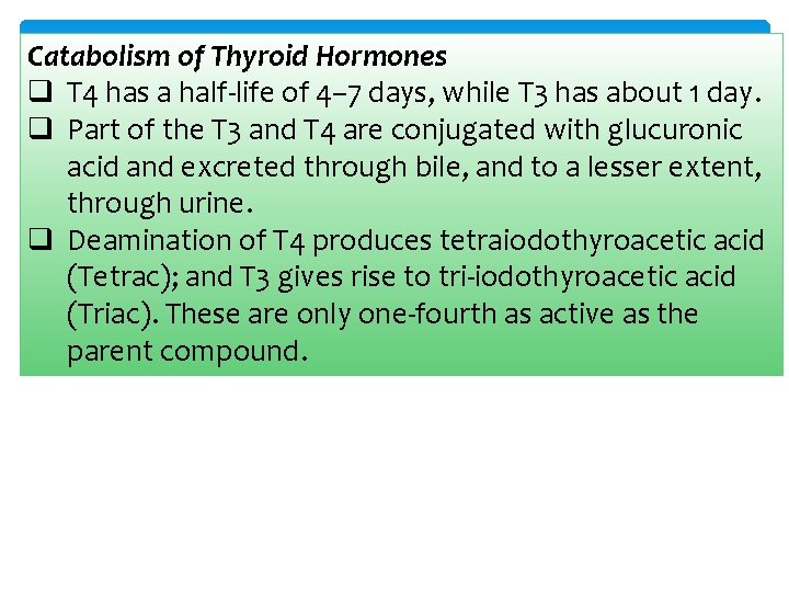 Catabolism of Thyroid Hormones q T 4 has a half-life of 4– 7 days,