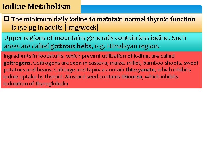 Iodine Metabolism q The minimum daily iodine to maintain normal thyroid function is 150