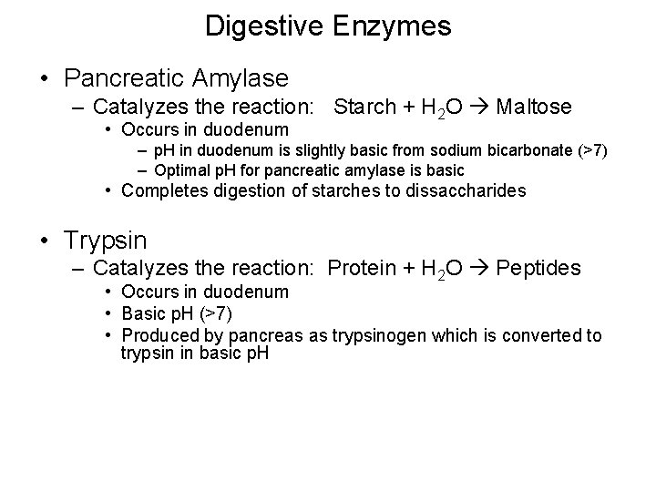 Digestive Enzymes • Pancreatic Amylase – Catalyzes the reaction: Starch + H 2 O