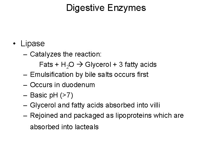 Digestive Enzymes • Lipase – Catalyzes the reaction: Fats + H 2 O Glycerol
