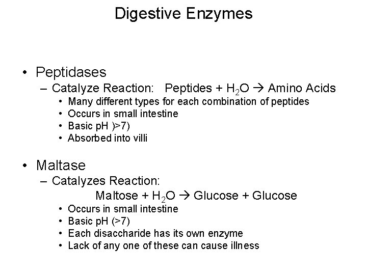 Digestive Enzymes • Peptidases – Catalyze Reaction: Peptides + H 2 O Amino Acids