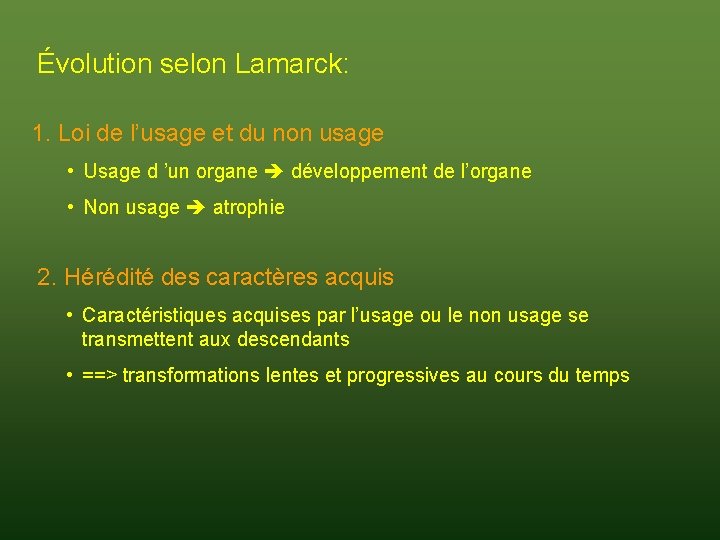 Évolution selon Lamarck: 1. Loi de l’usage et du non usage • Usage d