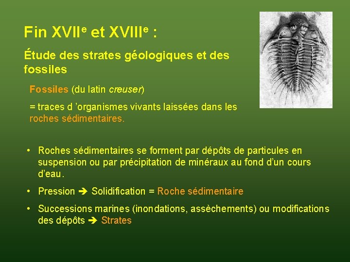 Fin XVIIe et XVIIIe : Étude des strates géologiques et des fossiles Fossiles (du