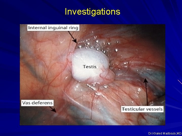 Investigations Dr. Khaled Madbouly, MD. Investigations Dr. Khaled Madbouly, MD.