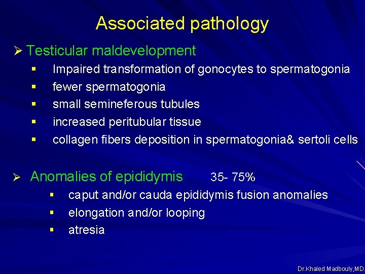 Associated pathology Ø Testicular maldevelopment § Impaired transformation of gonocytes to spermatogonia § fewer Associated pathology Ø Testicular maldevelopment § Impaired transformation of gonocytes to spermatogonia § fewer