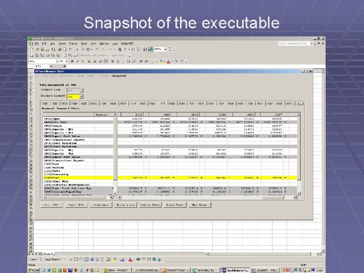Snapshot of the executable 