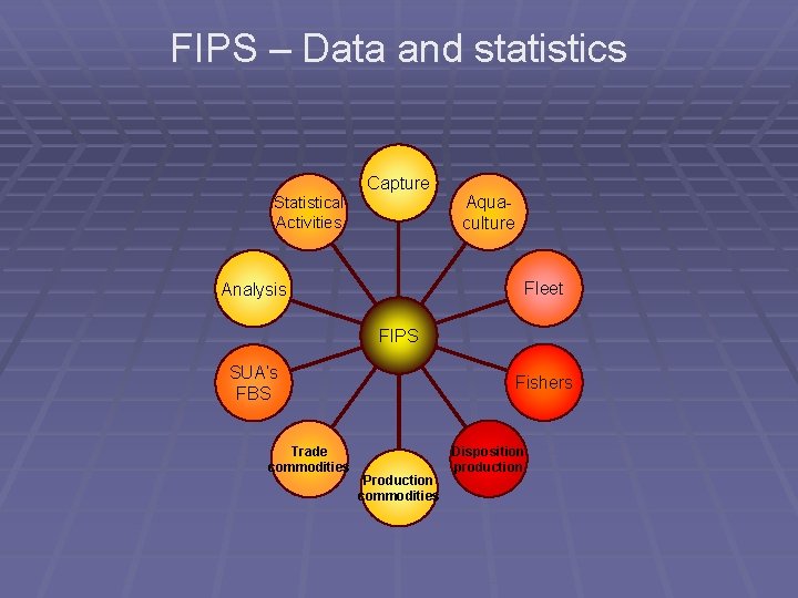 FIPS – Data and statistics Capture Statistical Activities Aquaculture Fleet Analysis FIPS SUA’s FBS