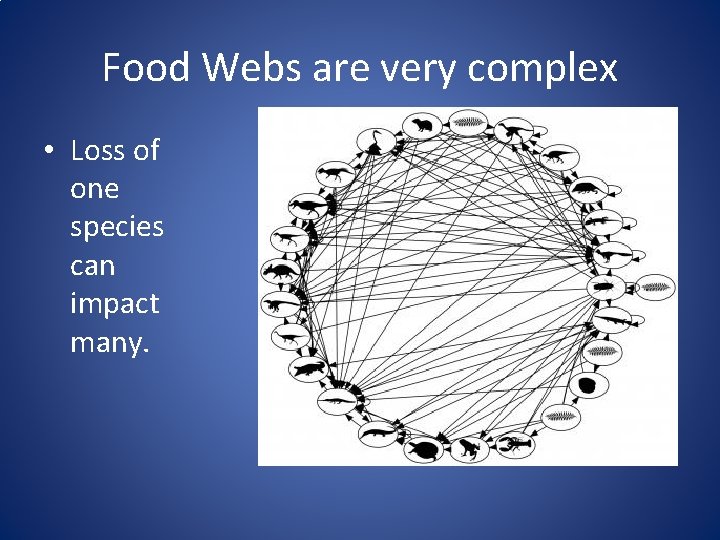 Food Webs are very complex • Loss of one species can impact many. 