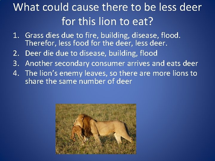 What could cause there to be less deer for this lion to eat? 1.