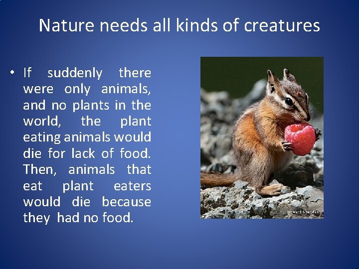 Nature needs all kinds of creatures • If suddenly there were only animals, and
