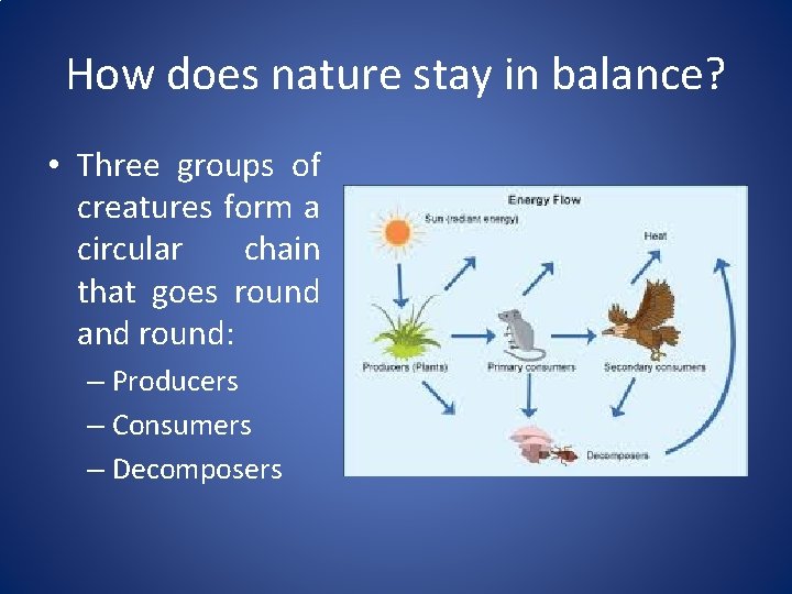 How does nature stay in balance? • Three groups of creatures form a circular
