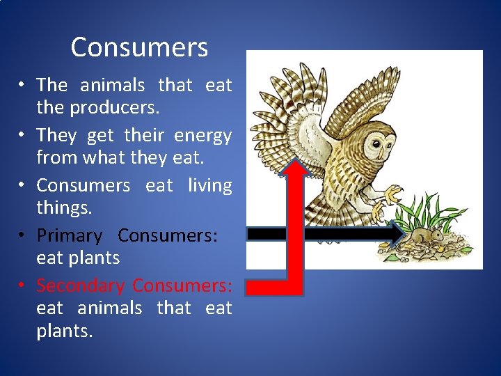 Consumers • The animals that eat the producers. • They get their energy from