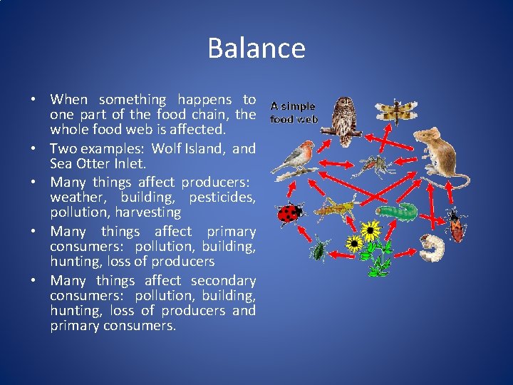 Balance • When something happens to one part of the food chain, the whole