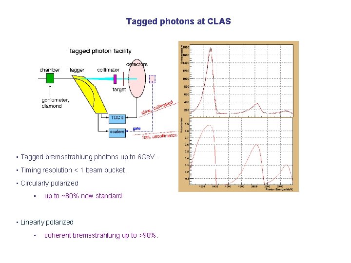 Tagged photons at CLAS • Tagged bremsstrahlung photons up to 6 Ge. V. •