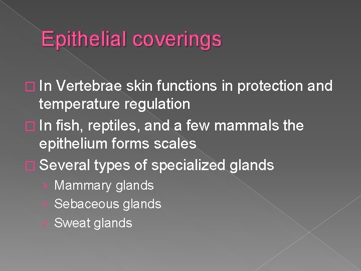 Epithelial coverings � In Vertebrae skin functions in protection and temperature regulation � In