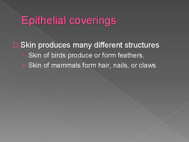 Epithelial coverings � Skin produces many different structures › Skin of birds produce or