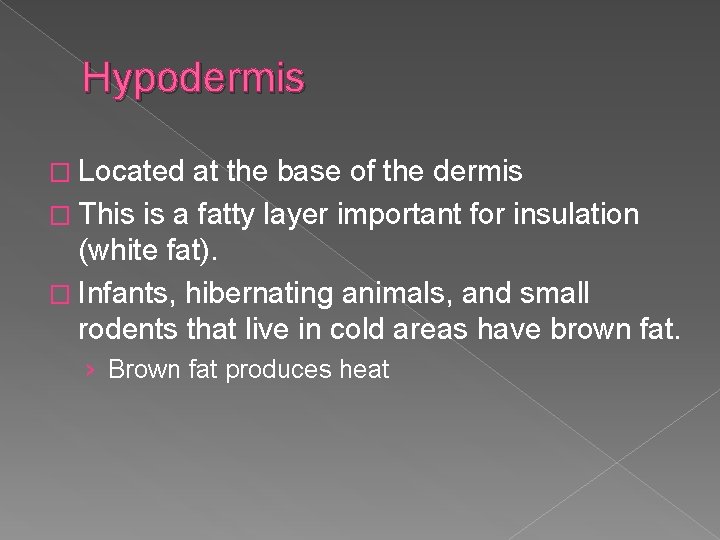Hypodermis � Located at the base of the dermis � This is a fatty